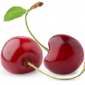 Cereza