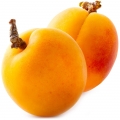 Chabacano