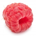 Frambuesa