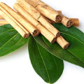 Hoja de la canela