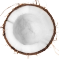 Leche de coco