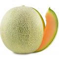 Melón cantalupo
